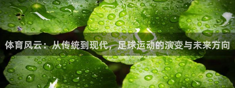 成都意昂电子有限公司