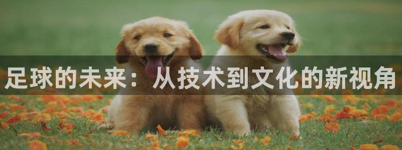 意昂3官网