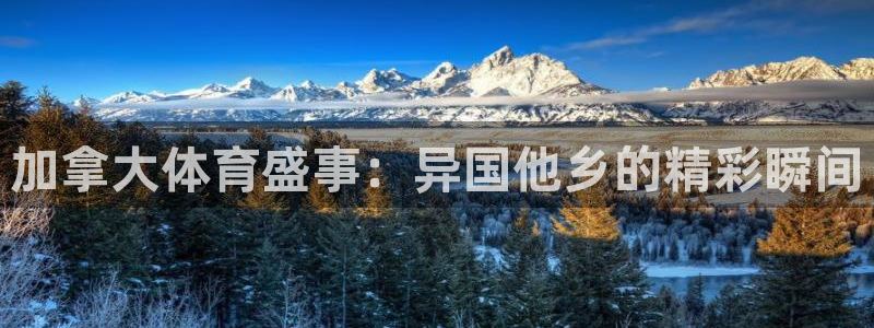 意昂2平台登录