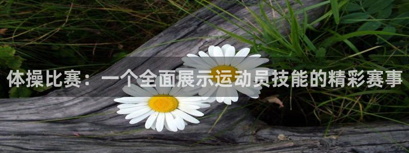 意昂体育代理