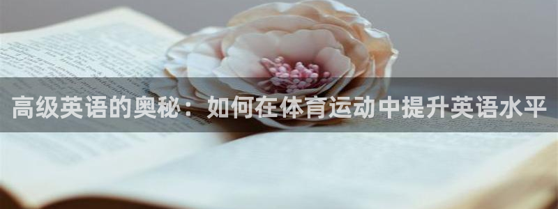 意昂4平台