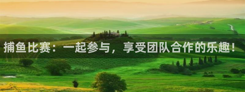 意昂体育平台总代理