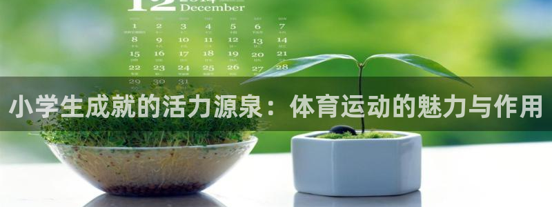 意昂体育热门赛事有哪些