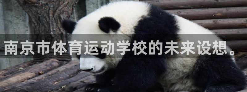 意昂4平台