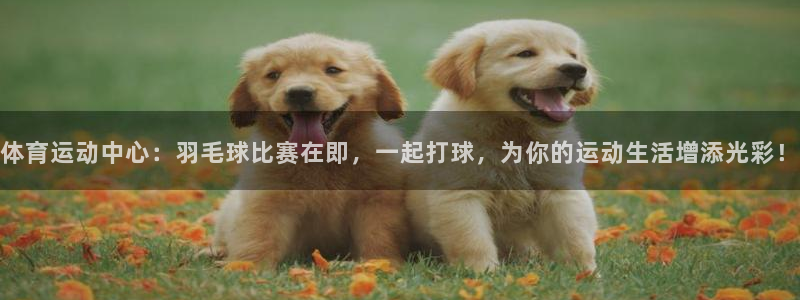 意昂2注册
