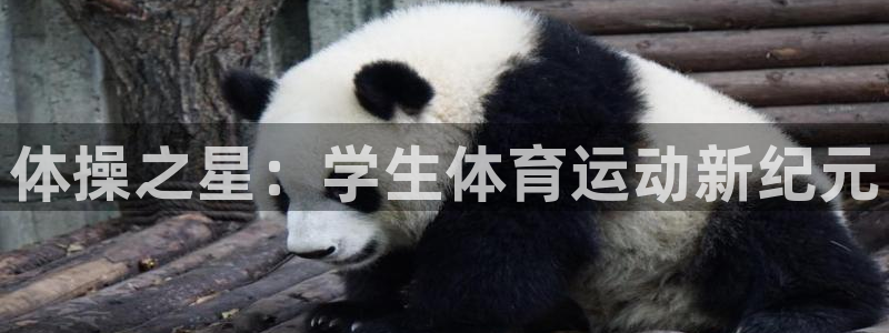 意昂4平台注册