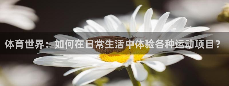 意昂3注册