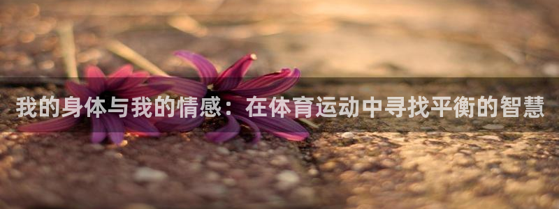 意昂体育凯捷平台招商
