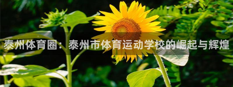 意昂3登录