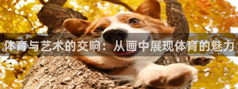 意昂平台招商