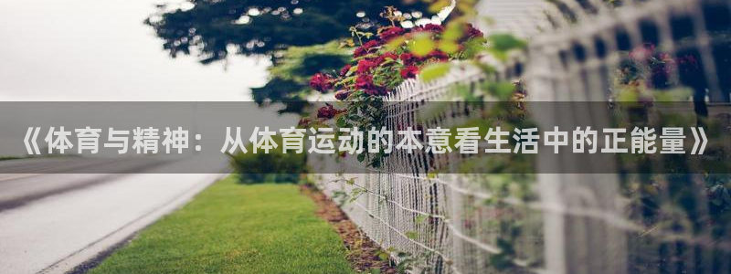 意昂体育官网登录