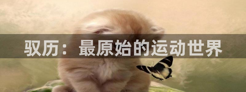 意昂3官网登录