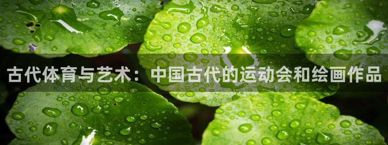 意昂2体育登录入口